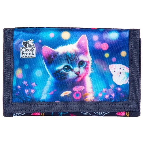 Süße katze kätzchen - süße,